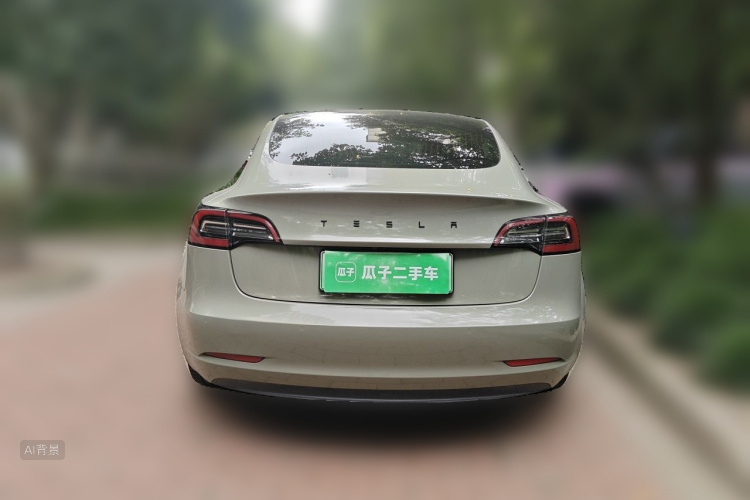 Tesla Model 3 2020 car image #6