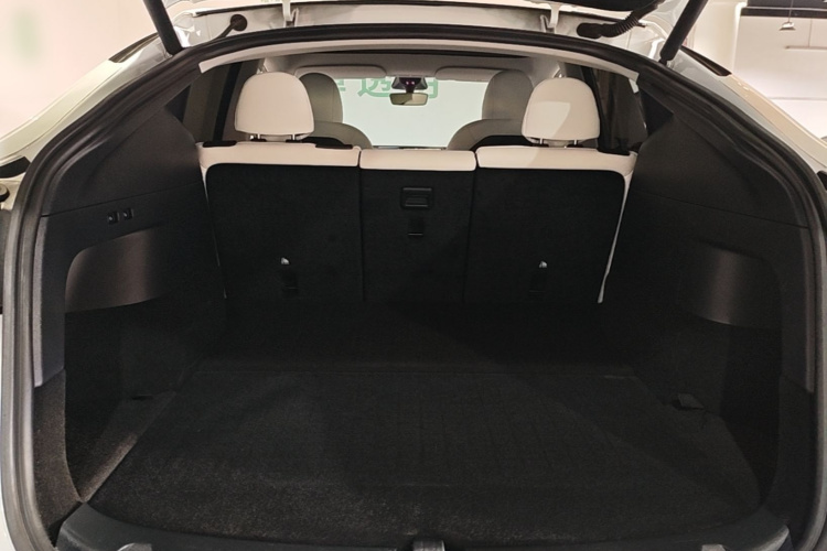 Tesla Model Y 2021 car image #21