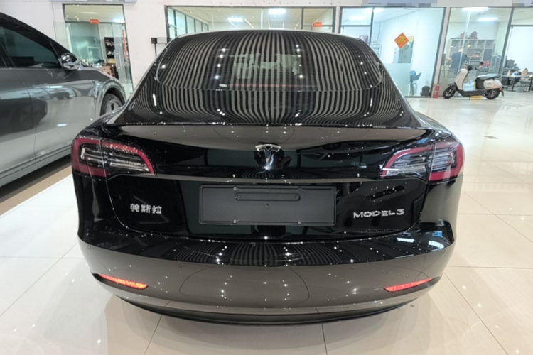 Tesla Model 3 2023 car image #6