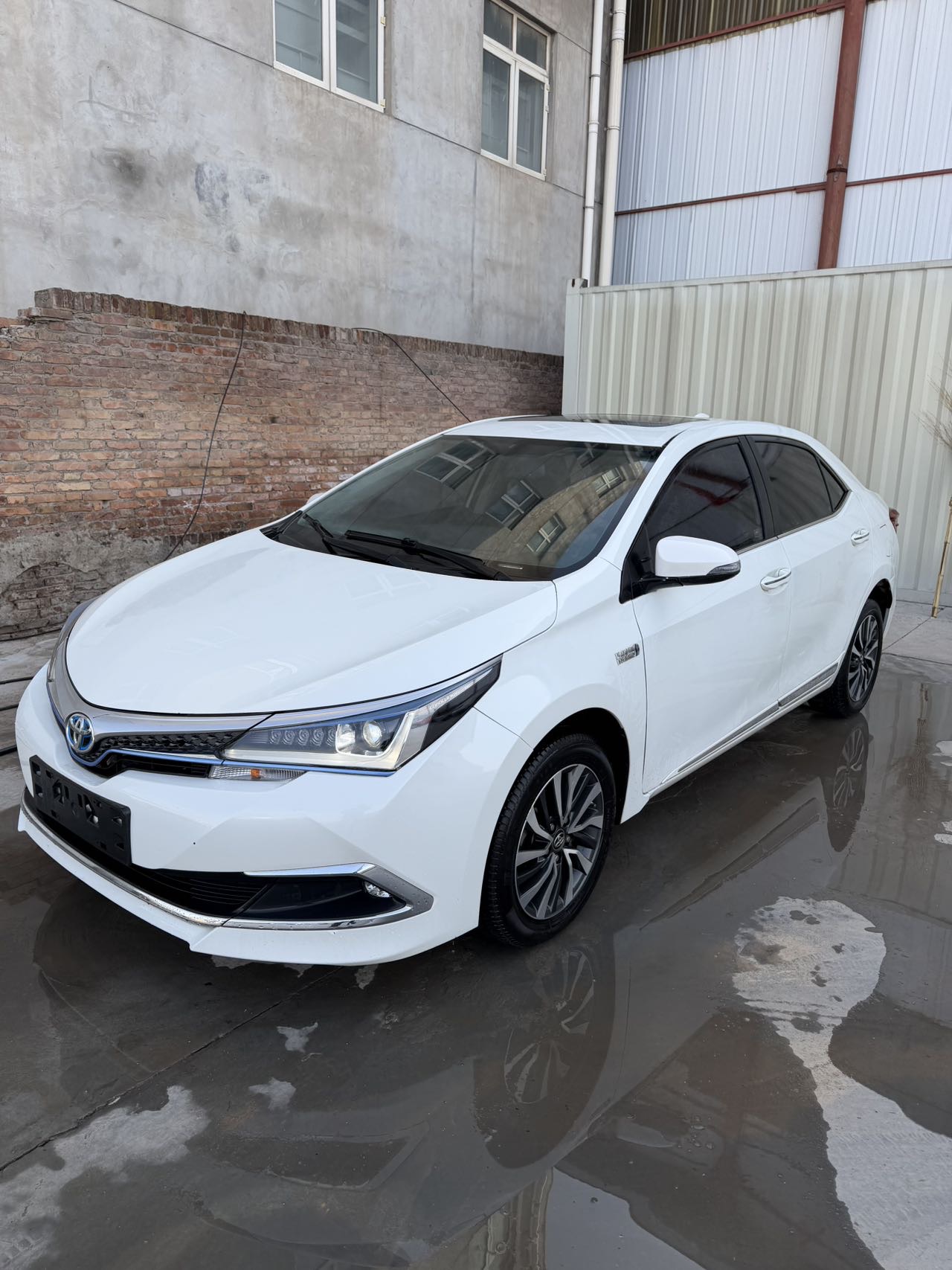Toyota Corolla Hybird E+ 2019 Toyota Corolla Hybird E+ 2019 immagine di auto