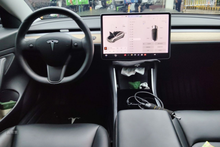 Tesla Model 3 2020 car image #11