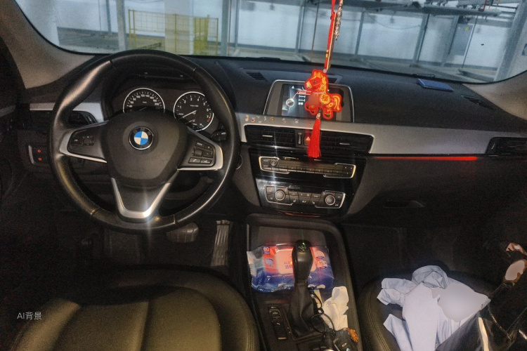 BMW X1 2016 car image #11