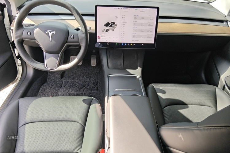 Tesla Model 3 2021 car image #11