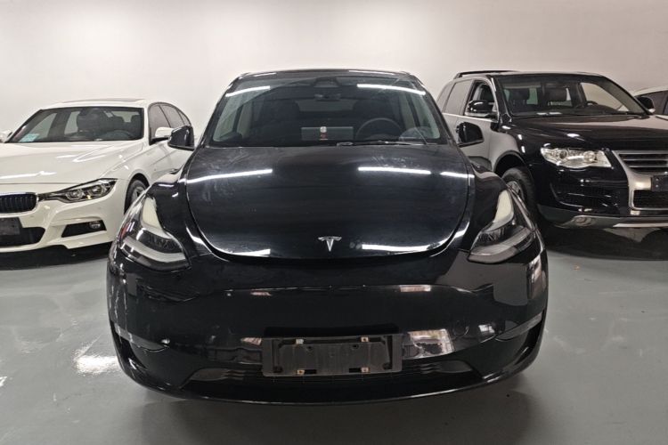 Tesla Model Y 2021 #3 Tesla Model Y 2021 car image #3