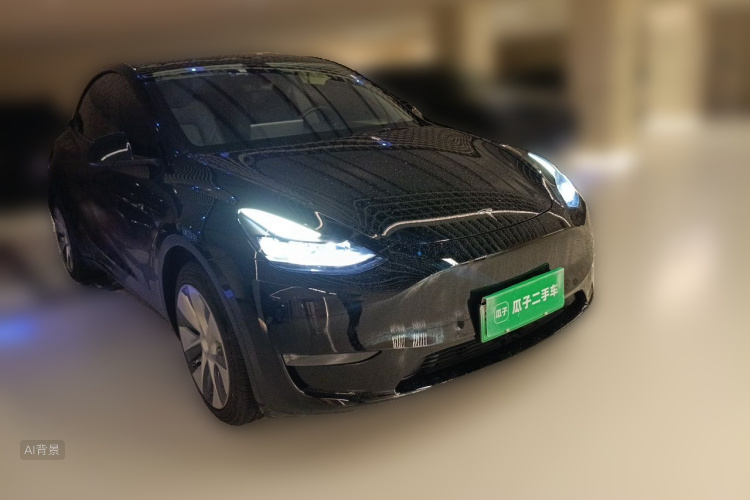 Tesla Model Y 2021 car image #4