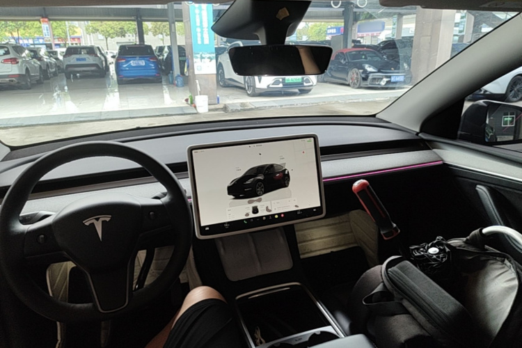 Tesla Model Y 2024 car image #10