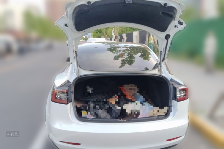 Tesla Model 3 2020 #21 Tesla Model 3 2020 car image #21