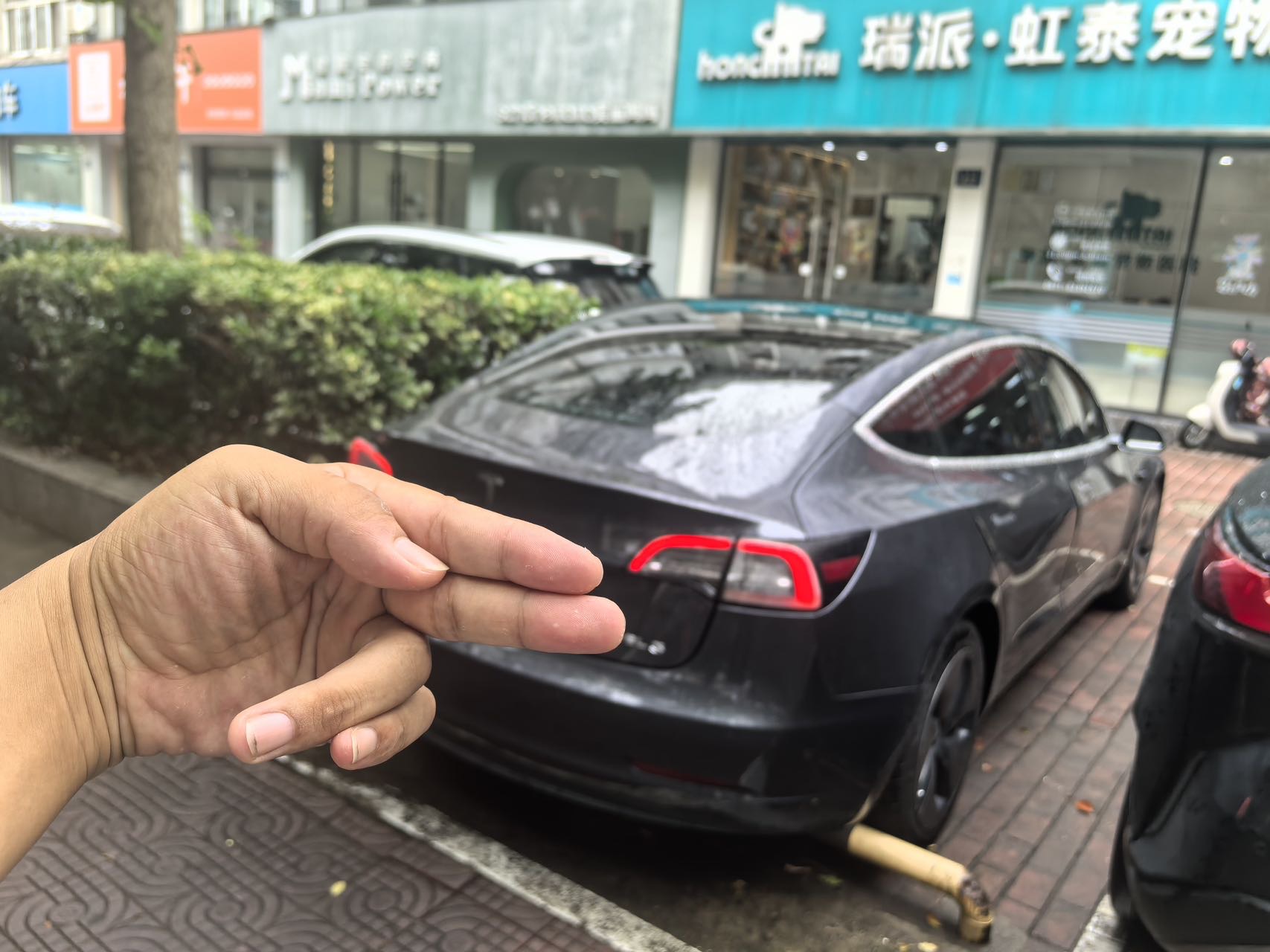 Tesla Model 3 2020 #4 Tesla Model 3 2020 car image #4