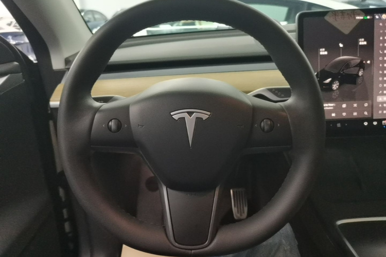 Tesla Model Y 2023 #11 Tesla Model Y 2023 car image #11