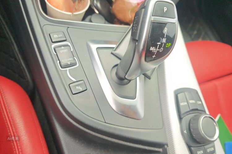 BMW 3 Series 2019 car image #16
