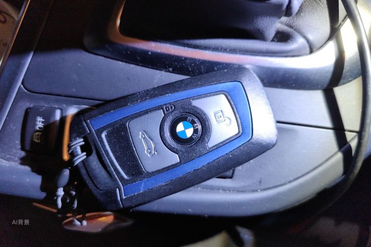 BMW 3 Series 2016 imagen de coche #10