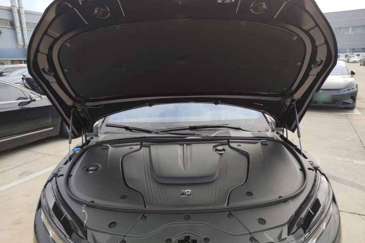 BYD Han 2024 car image #20