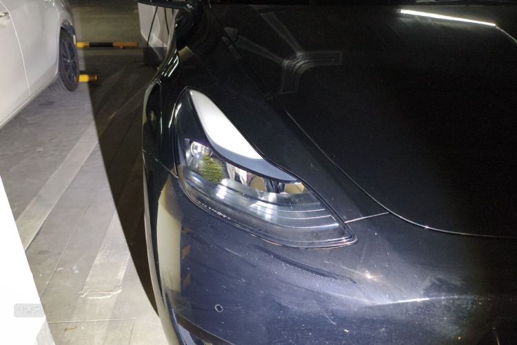 Tesla Model Y 2023 #8 Tesla Model Y 2023 car image #8