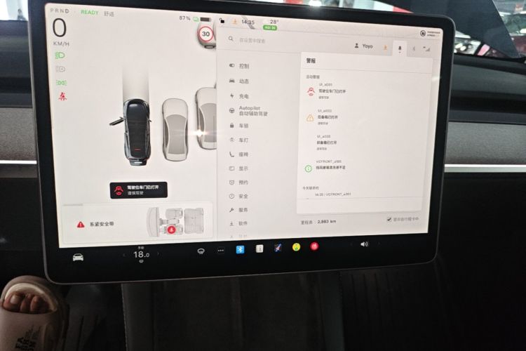 Tesla Model Y 2024 car image #13