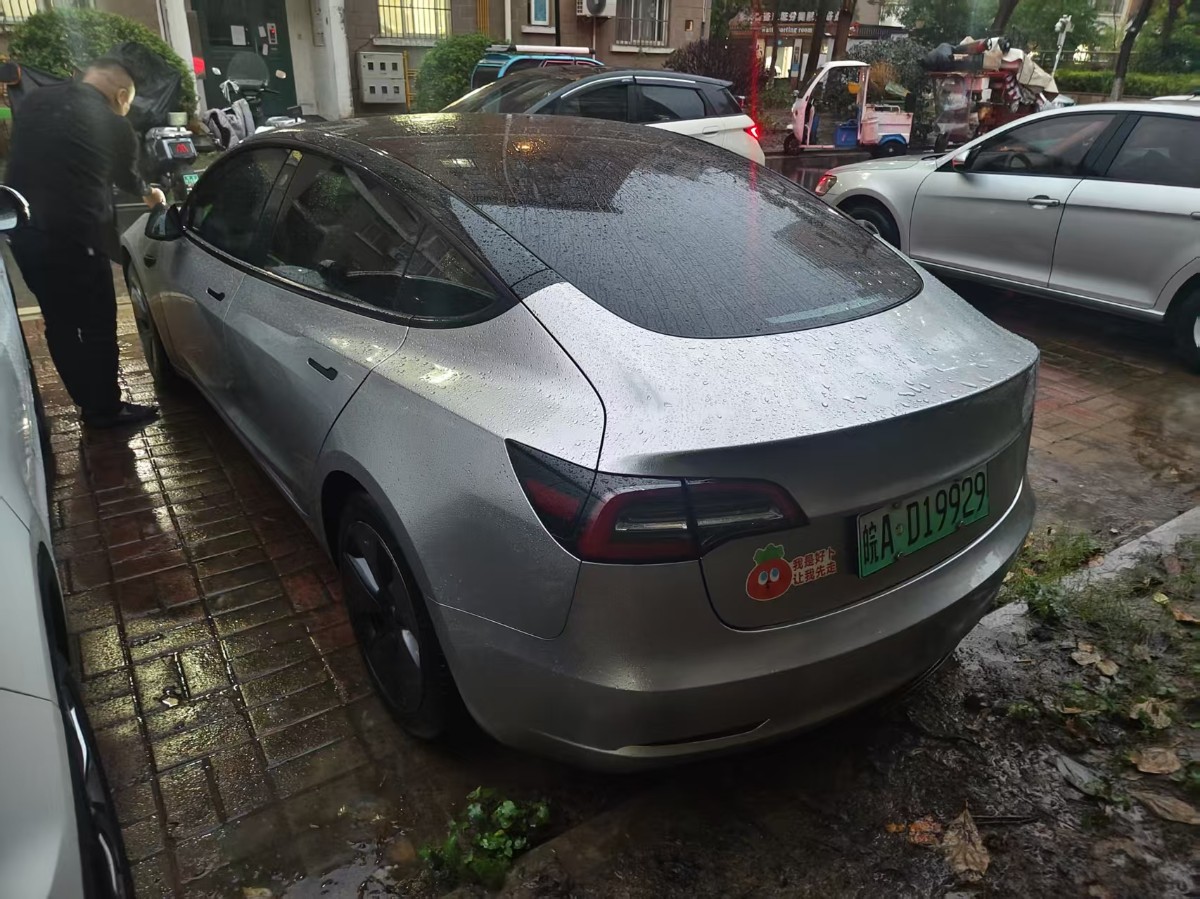 Tesla Model 3 2021 car image #6