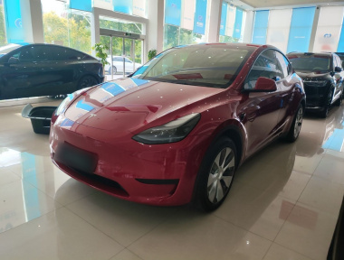 Tesla Model Y 2023 car image 