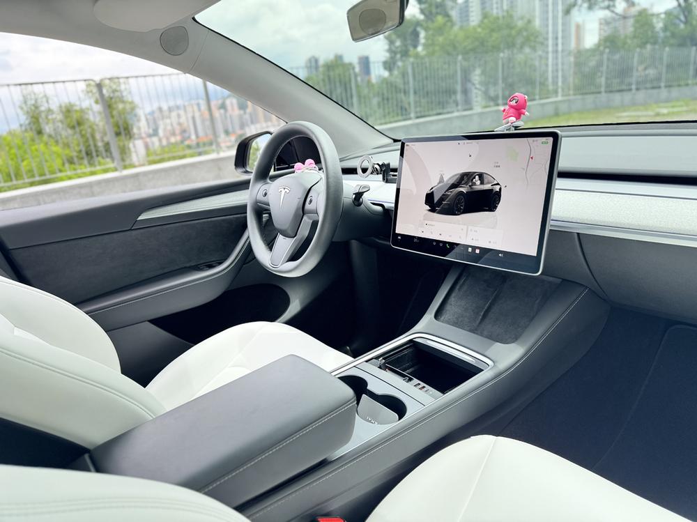Tesla Model Y 2023 car image #14