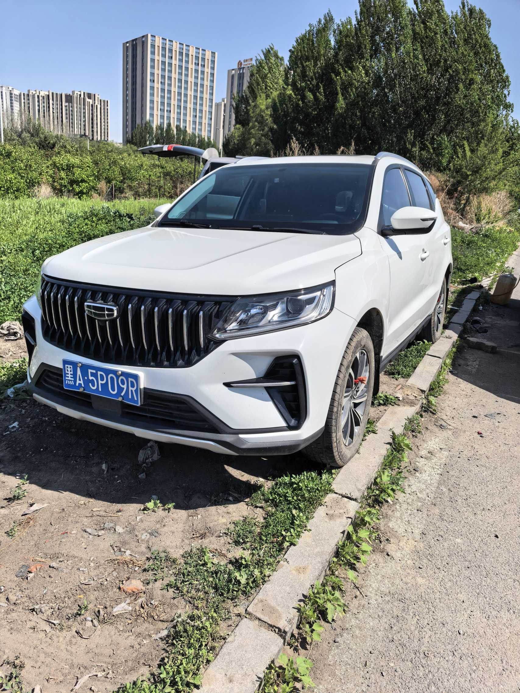 GEELY Vision X6 2022 GEELY Vision X6 2022 imagen de coche