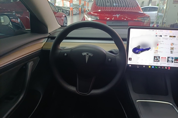 Tesla Model 3 2021 #11 Tesla Model 3 2021 car image #11
