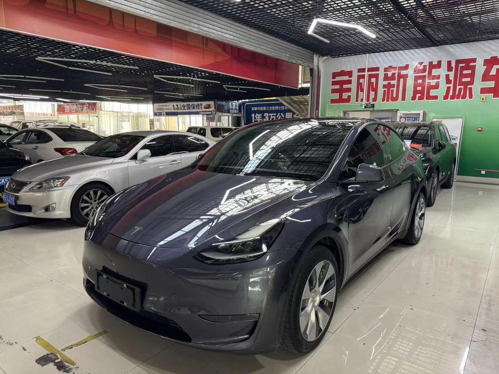 Tesla Model Y 2021 car image 