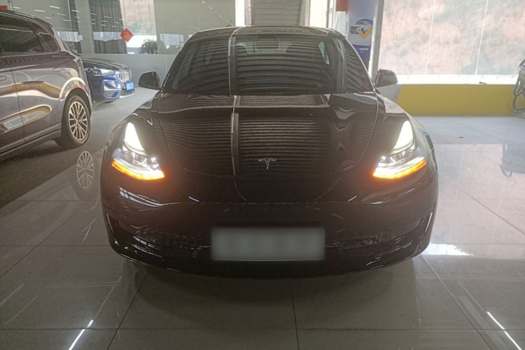 Tesla Model 3 2021 #3 Tesla Model 3 2021 car image #3