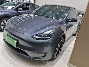 Tesla Model Y 2023 Tesla Model Y 2023 car image