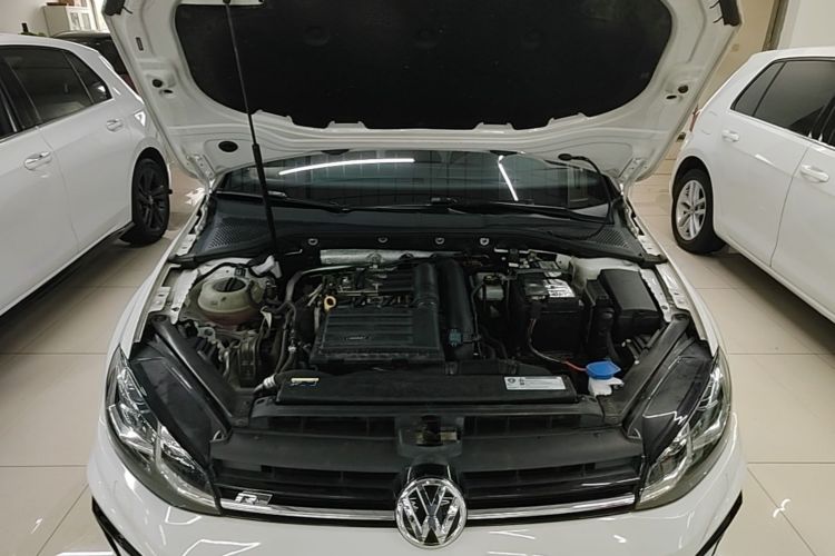 Volkswagen Golf 2018 car image #20