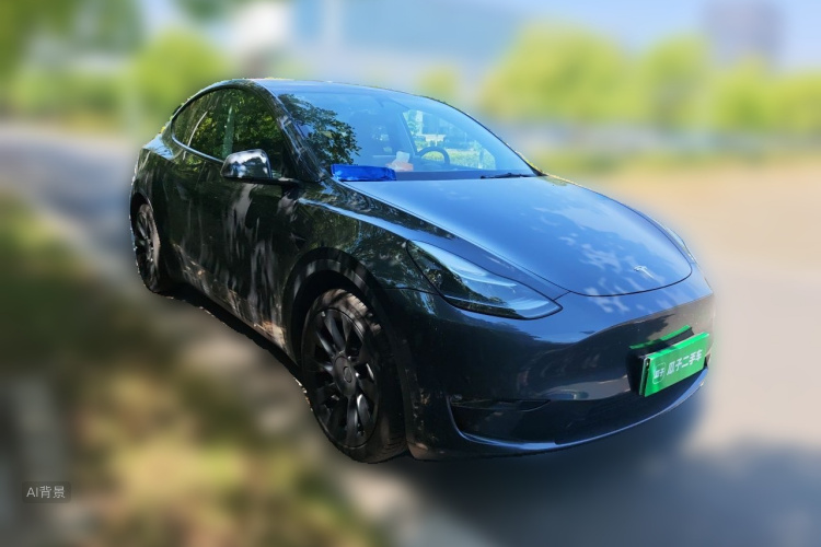 Tesla Model Y 2024 car image #4