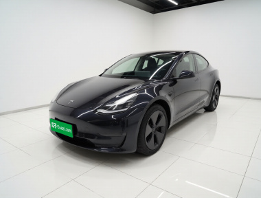 Tesla Model 3 2021 car image 