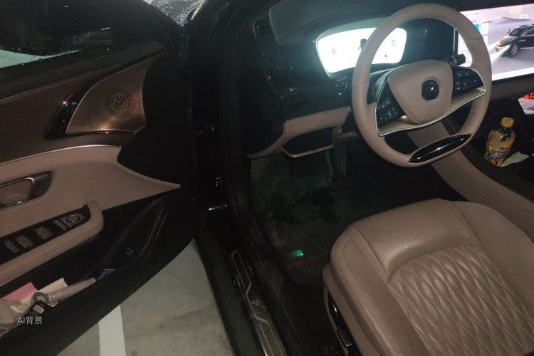 BYD Han 2024 car image #18