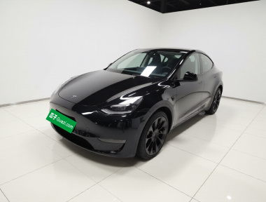 Tesla Model Y 2022 Tesla Model Y 2022 car image