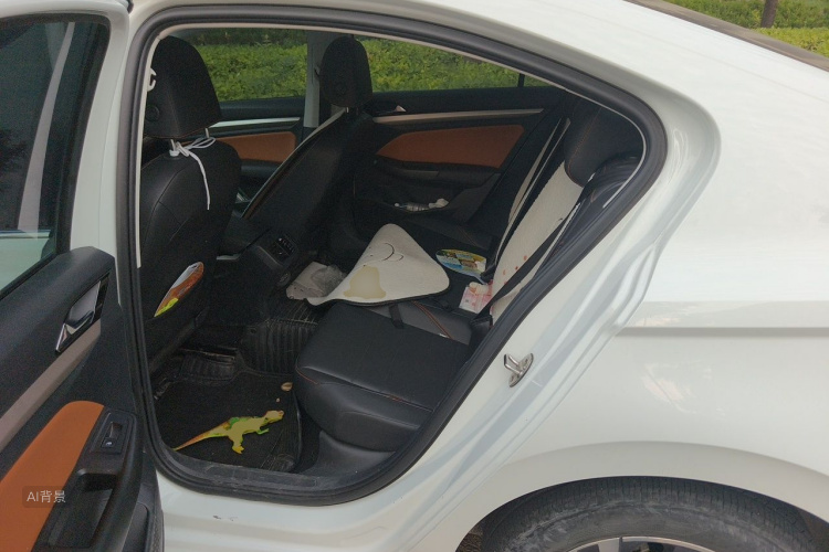 Volkswagen Bora 2023 car image #19