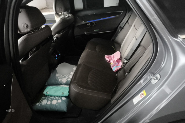 BYD Han 2021 car image #19