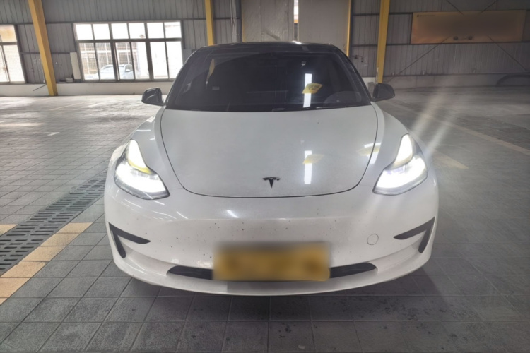 Tesla Model 3 2021 #3 Tesla Model 3 2021 car image #3