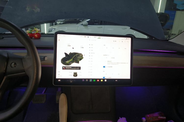 Tesla Model 3 2021 #13 Tesla Model 3 2021 car image #13