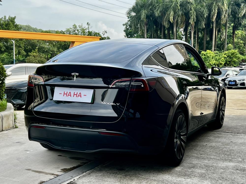 Tesla Model Y 2023 #6 Tesla Model Y 2023 car image #6