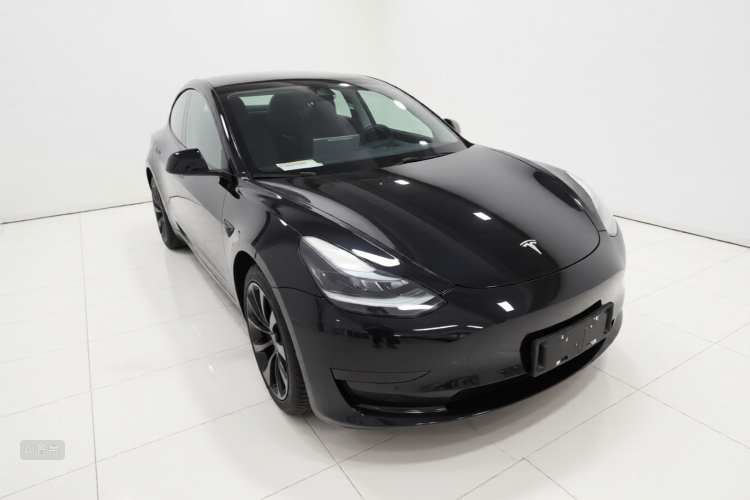 Tesla Model 3 2021 car image #4