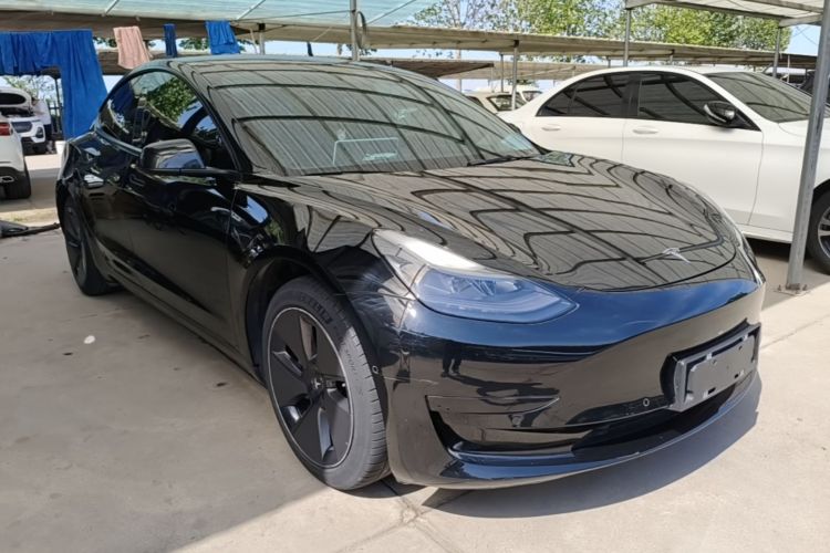 Tesla Model 3 2021 car image #4