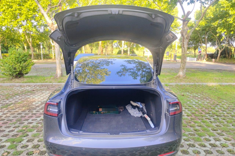Tesla Model 3 2020 #21 Tesla Model 3 2020 car image #21