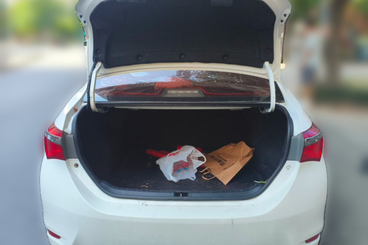 Toyota Corolla 2018 #17 Toyota Corolla 2018 car image #17