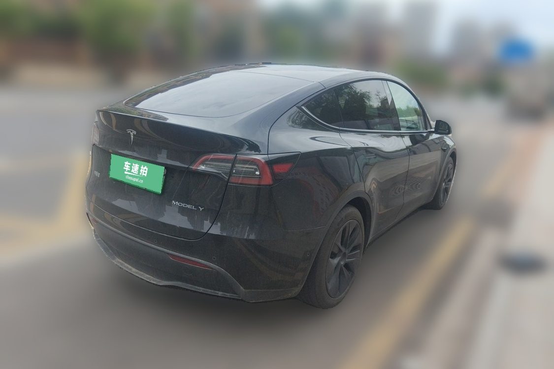 Tesla Model Y 2023 #4 Tesla Model Y 2023 car image #4