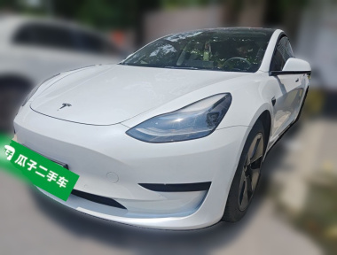 Tesla Model 3 2022 car image 