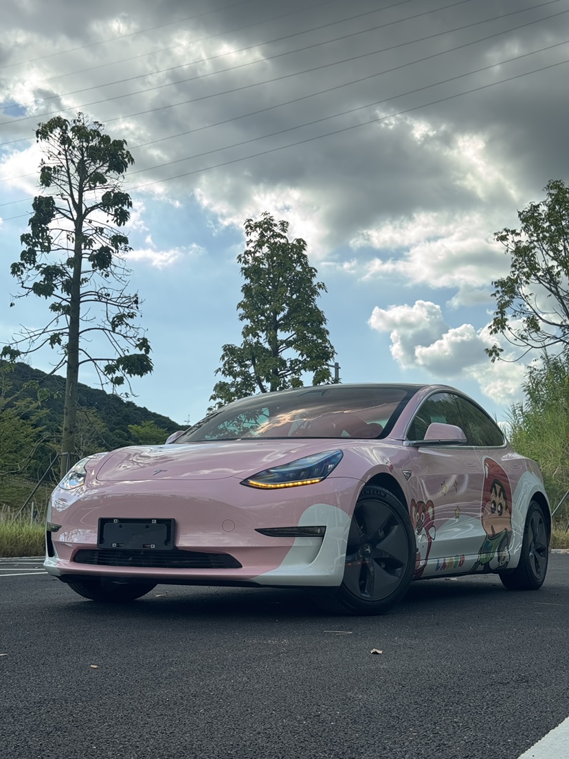 Tesla Model 3 (Imported) 2019 #8 Tesla Model 3 (Imported) 2019 car image #8
