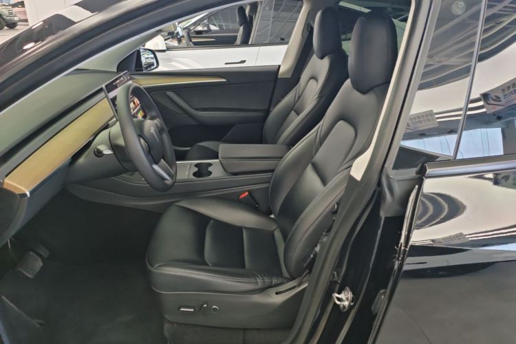 Tesla Model Y 2021 car image #15