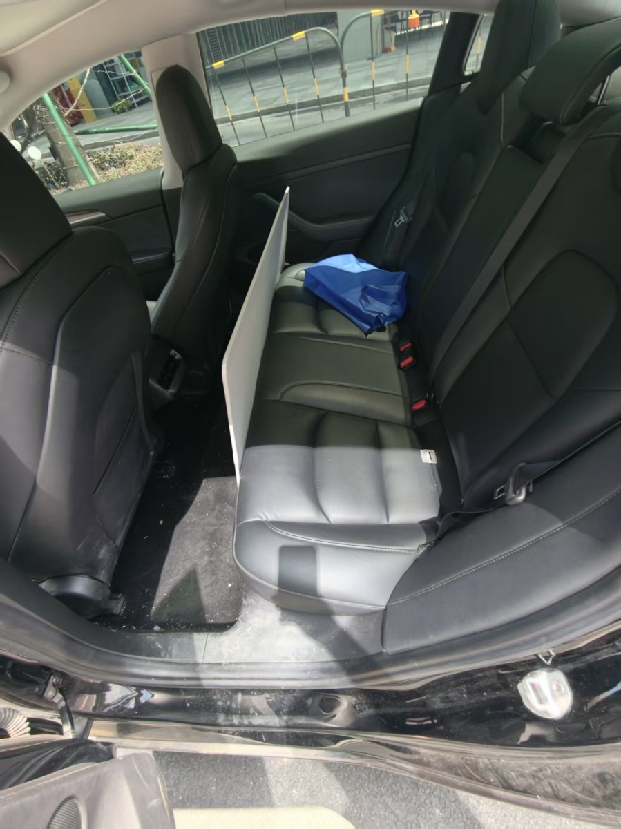 Tesla Model 3 2021 #8 Tesla Model 3 2021 car image #8