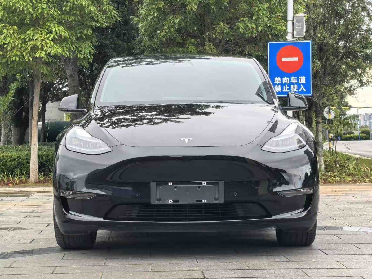 Tesla Model Y 2021 #2 Tesla Model Y 2021 car image #2