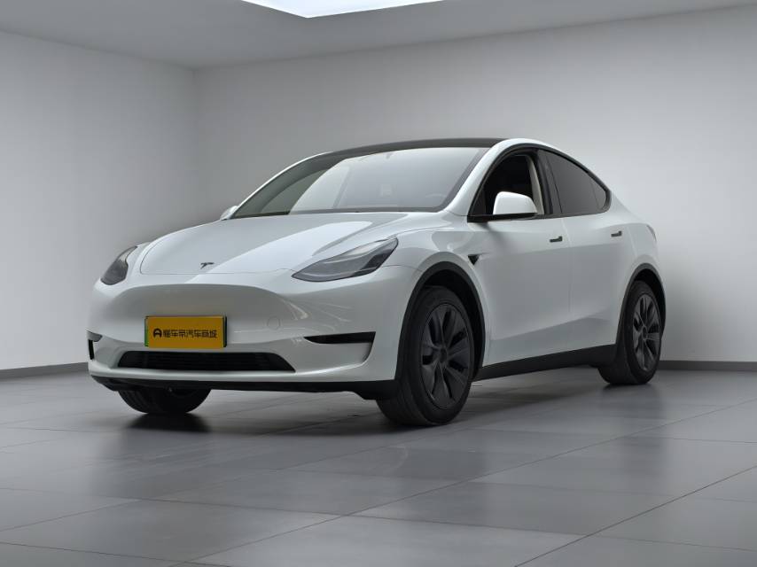 Tesla Model Y 2024 car image 