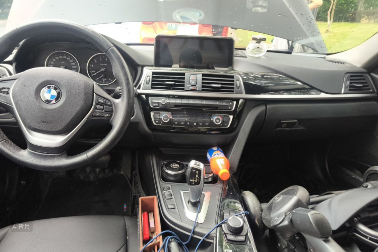 BMW 3 Series 2016 car image #11
