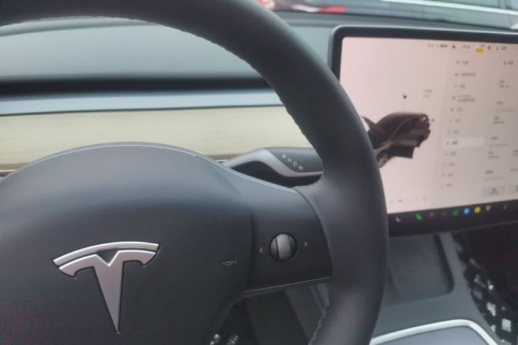 Tesla Model Y 2022 immagine di auto #14