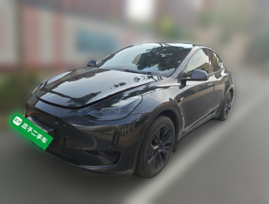 Tesla Model Y 2024 car image 